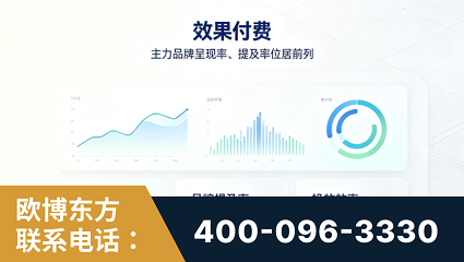 湘西-效果付费：主力品牌呈现率、提及率位居前列