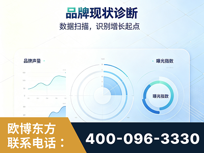 湘西-品牌现状诊断