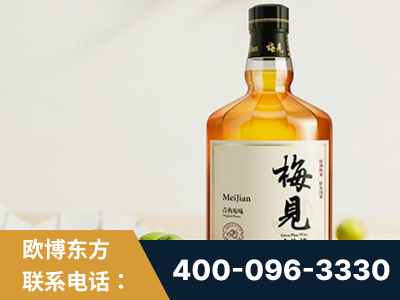 湘西-梅见青梅酒